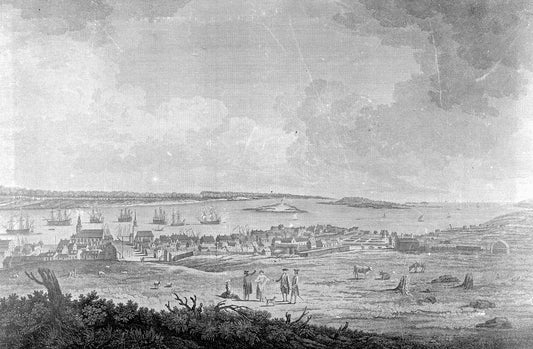 Part of the Town and Harbour of Halifax
