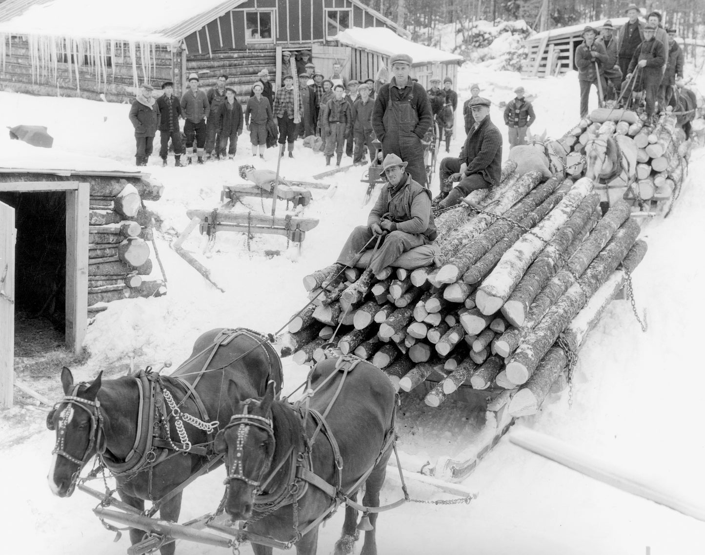 Logging camps