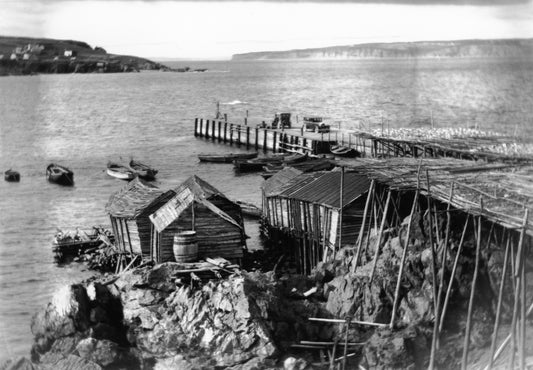 Fish drying on flakes