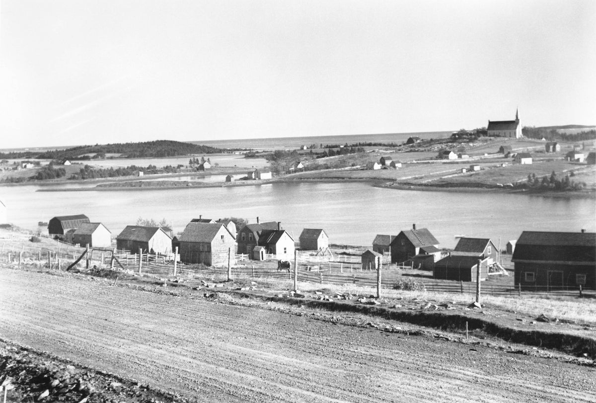 Coastal community