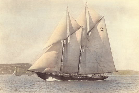 Bluenose