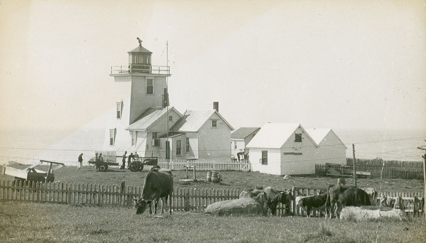 "Bon Portage Island by J.W. McKinley"