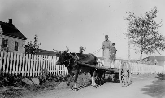 Narcisse Forgeron, Adelion Sampson boy, Arichat