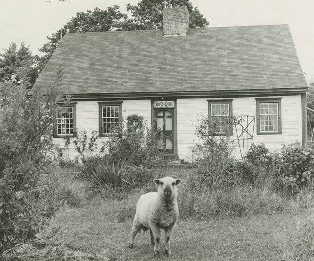 Medway Inn, Mill Village, Queens County