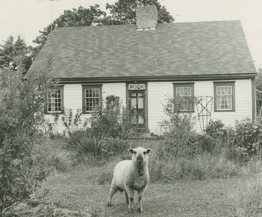 Medway Inn, Mill Village, Queens County