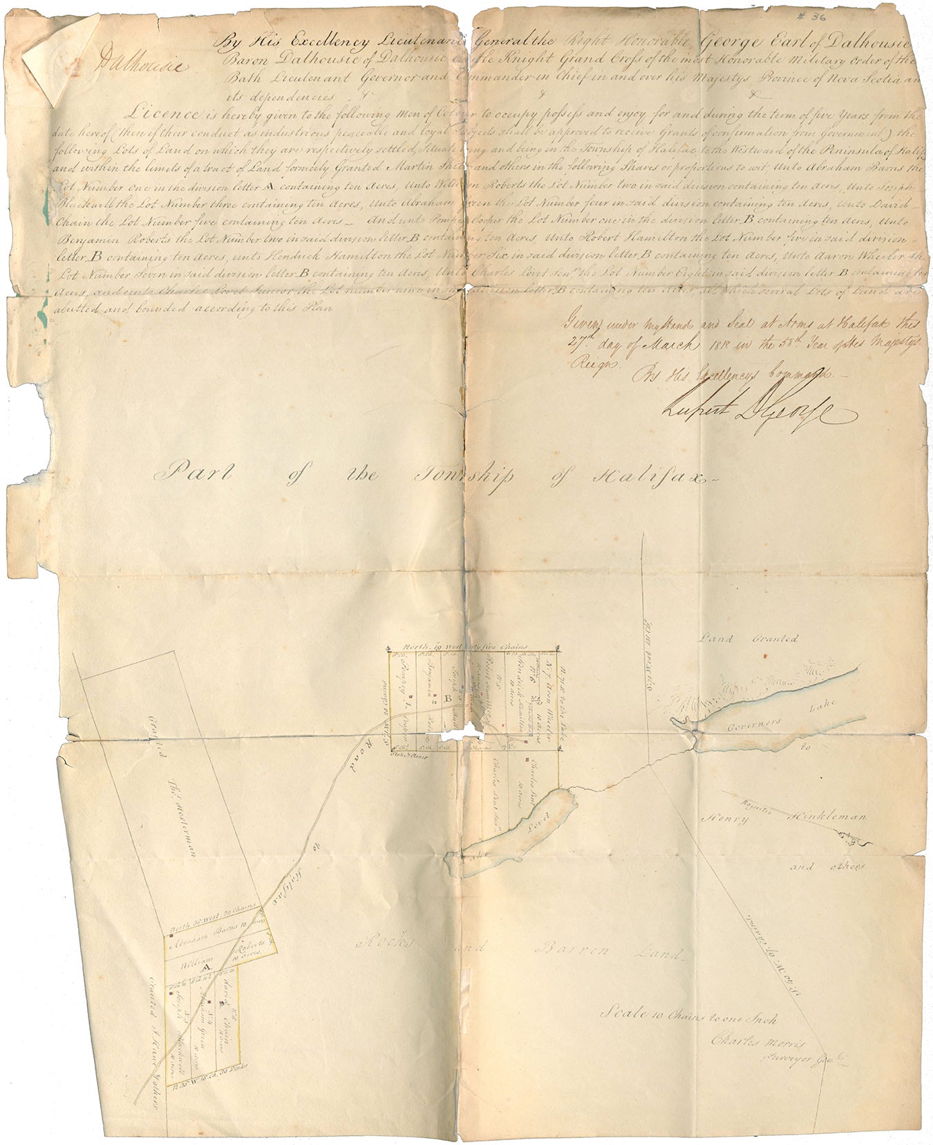 Licence of occupation