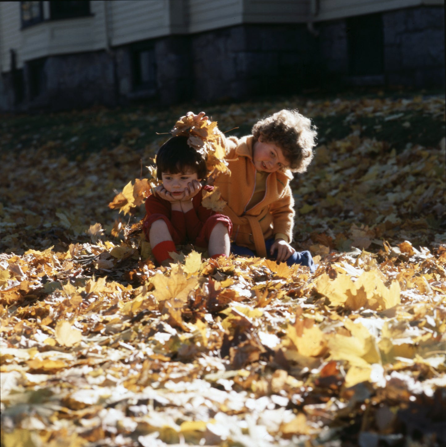 Children Playing in Leaves