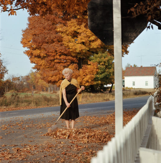 Raking Leaves