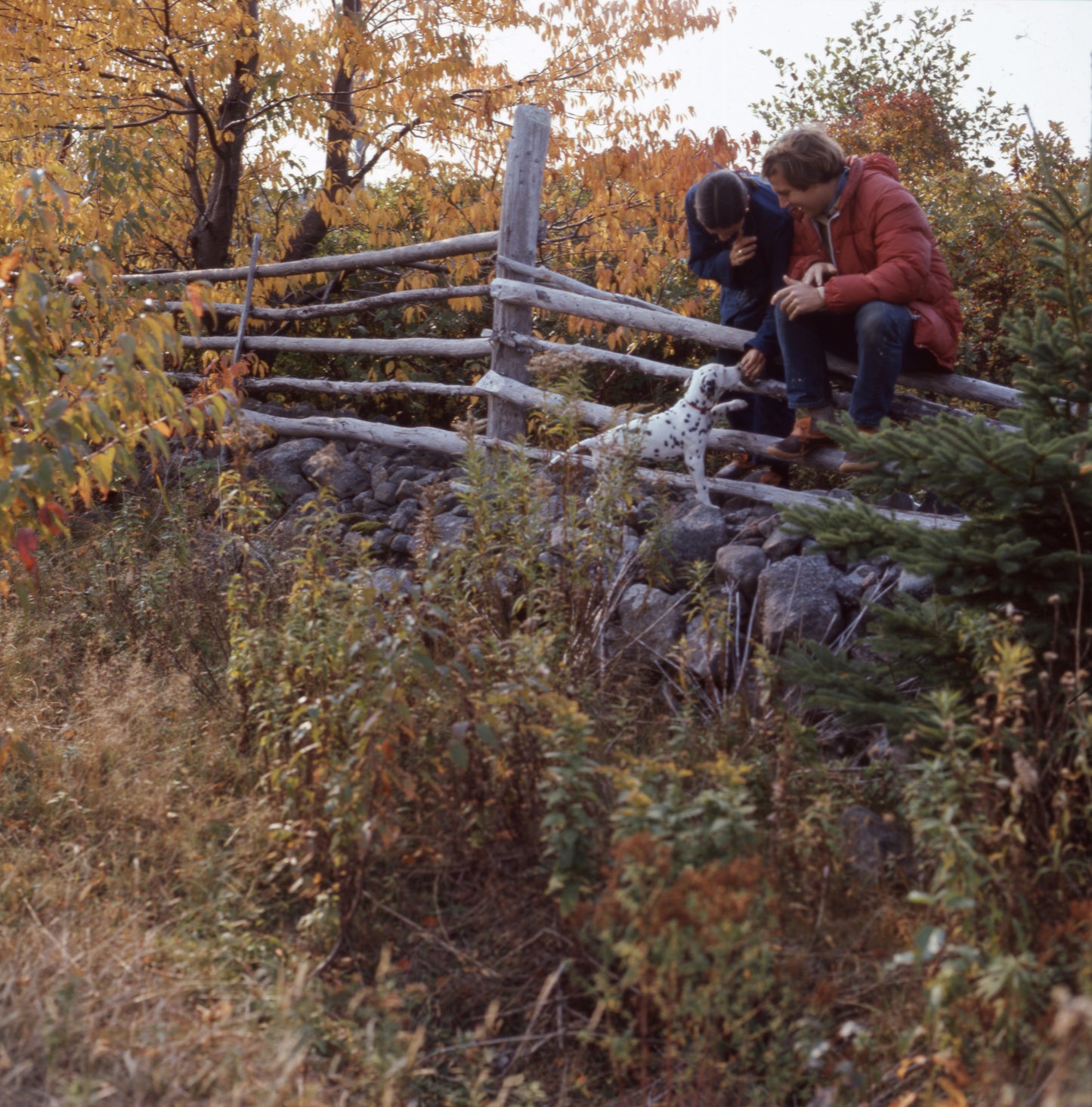Couple with Dog