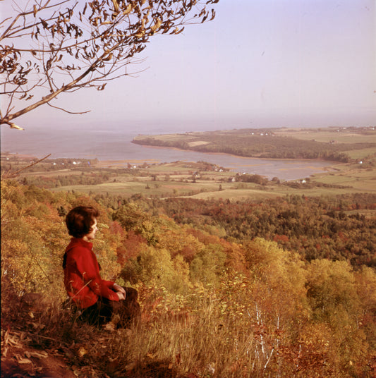 Blomidon Lookoff