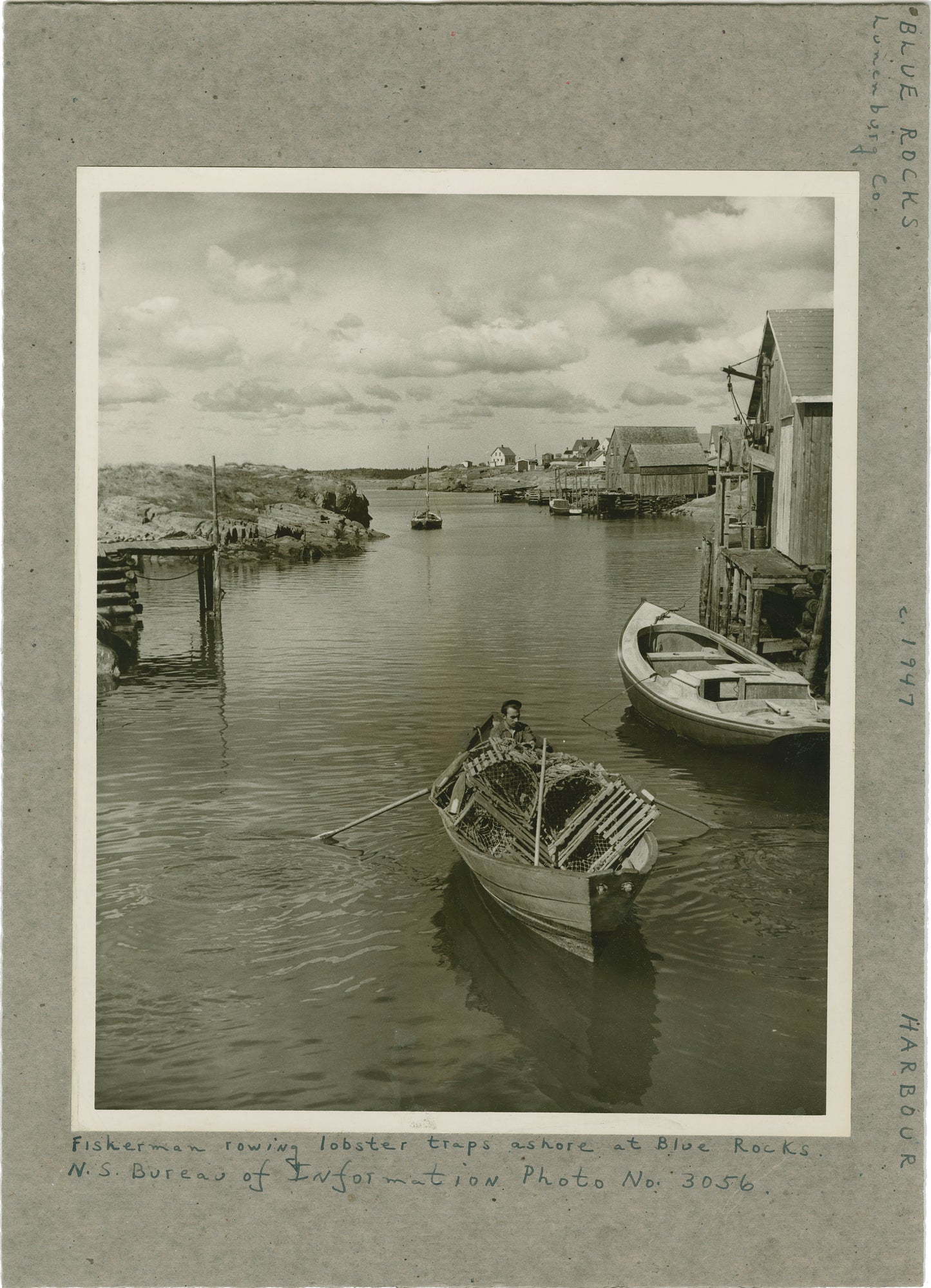Fisherman rowing lobster traps ashore