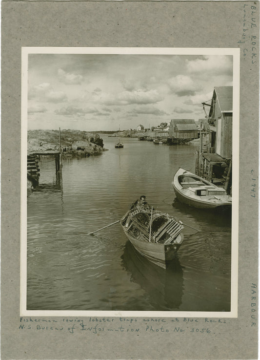 Fisherman rowing lobster traps ashore