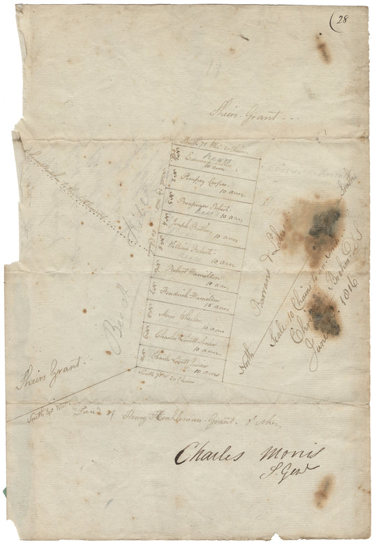 Surveyor General's plan