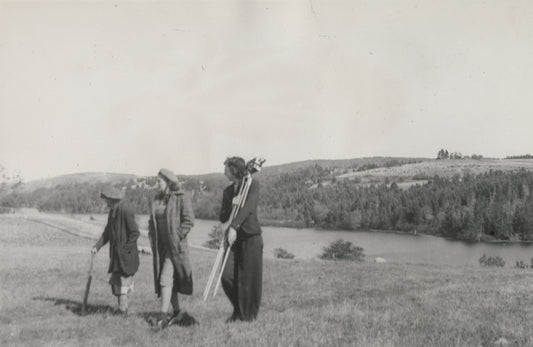 Woman whose cows had strayed