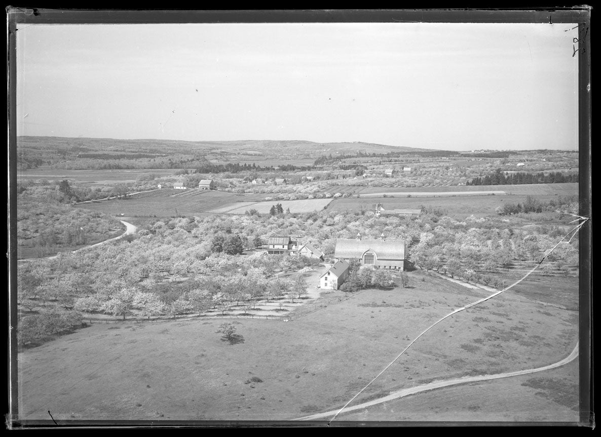 Aerial Photograph of Farms, Port Williams, Nova Scotia