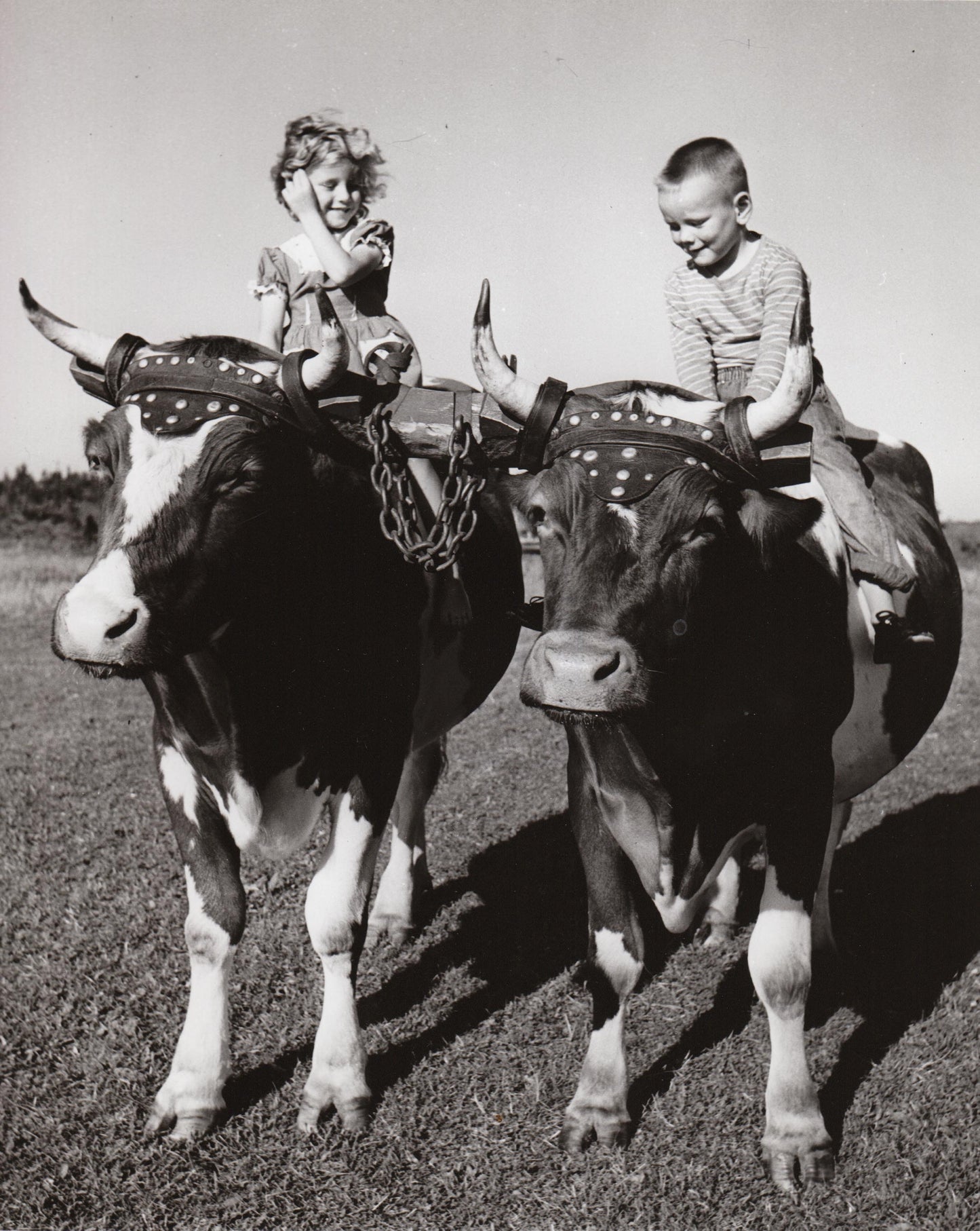 Youngsters like the farm in Nova Scotia