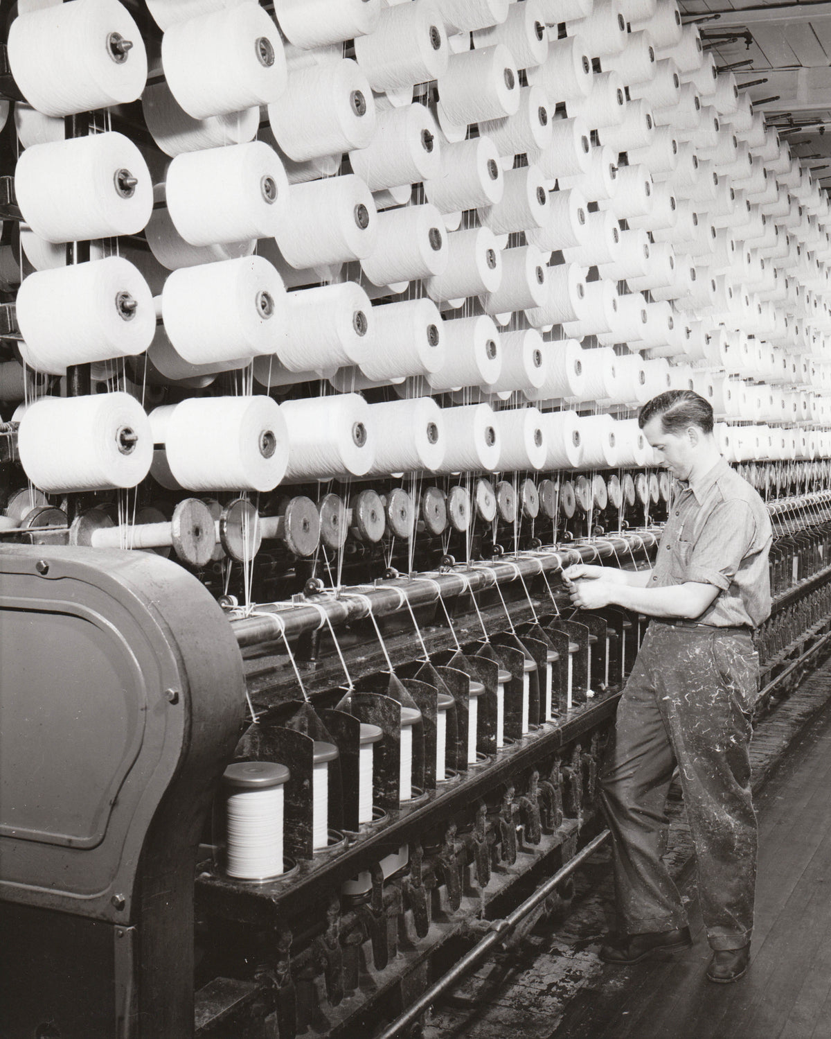 Cosmos Cotton, Yarmouth
