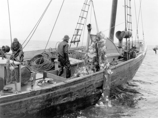 Lunenburg Schooner Hauling Net