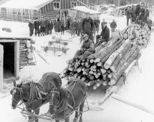 Logging camps