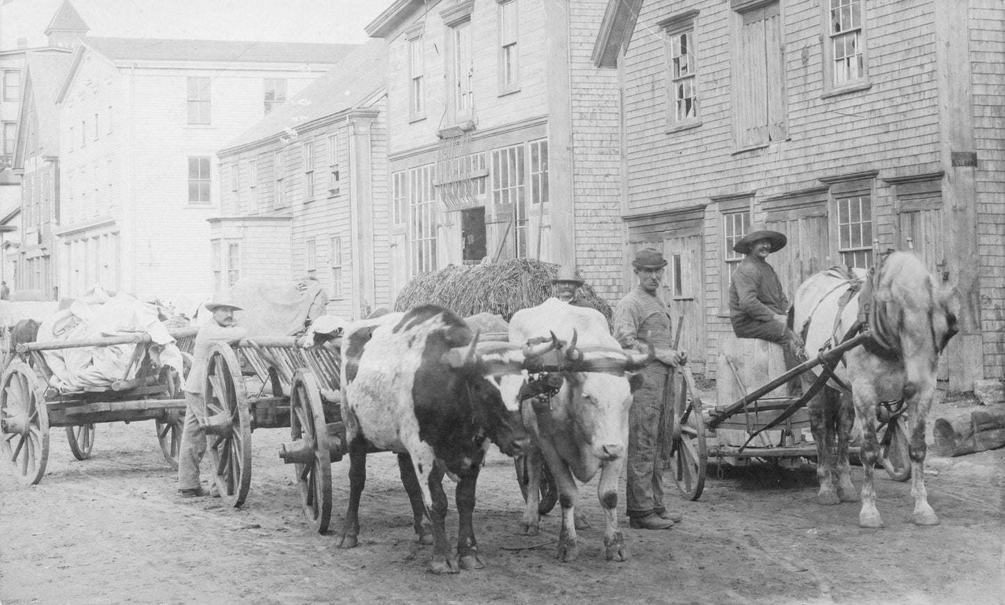 Oxcarts, Montague Street