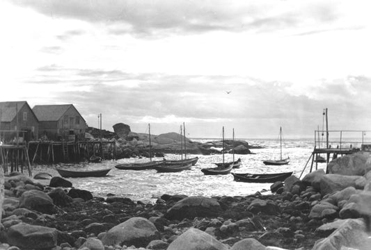 Boats anchored at sunset, Indian Harbour, NS