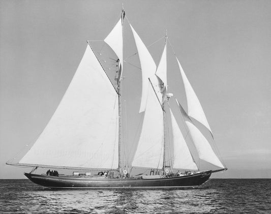 Bluenose II Under Sail