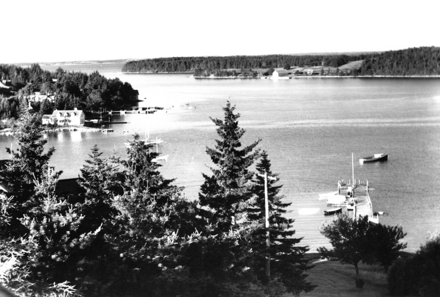 "Yachts at anchor, Chester, NS" no. 1639