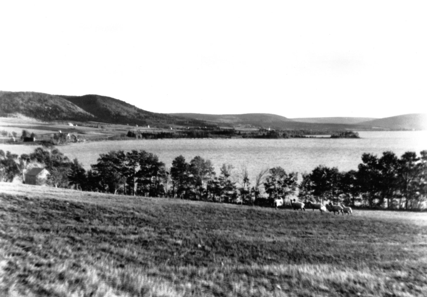 Pastoral landscape, Lake Ainslie, NS