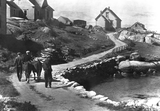 Road through Peggy's Cove, NS