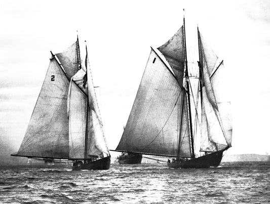 "Start of first race between Grand Bank fishing schooner Bluenose and Columbia, International Fishing Schooner Races, Halifax Harbour"