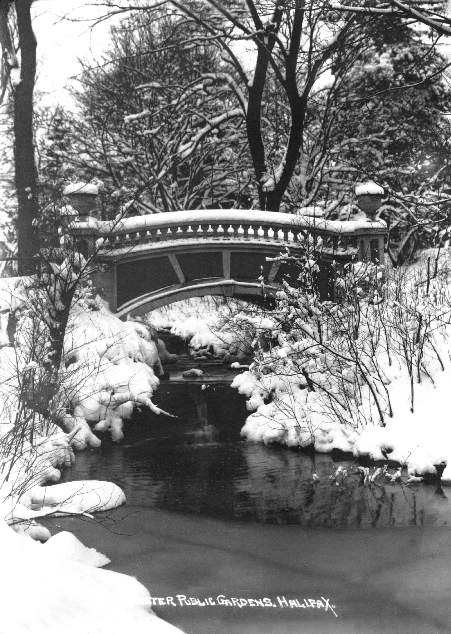 Winter, Public Gardens, Halifax, NS
