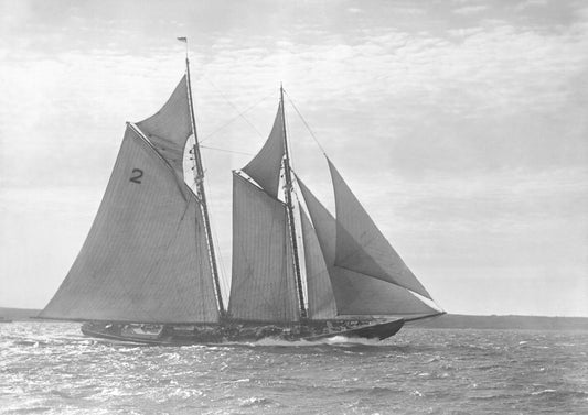 Bluenose