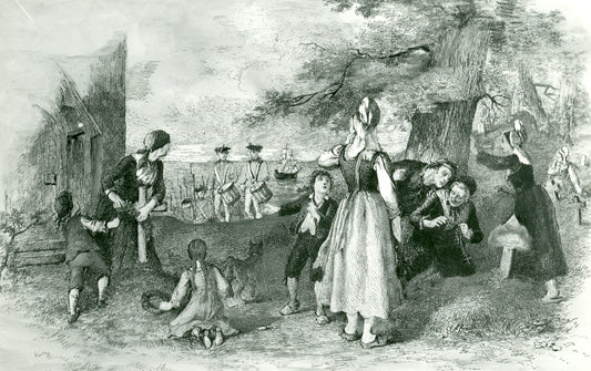 Illustrations of Evangeline's Acadia