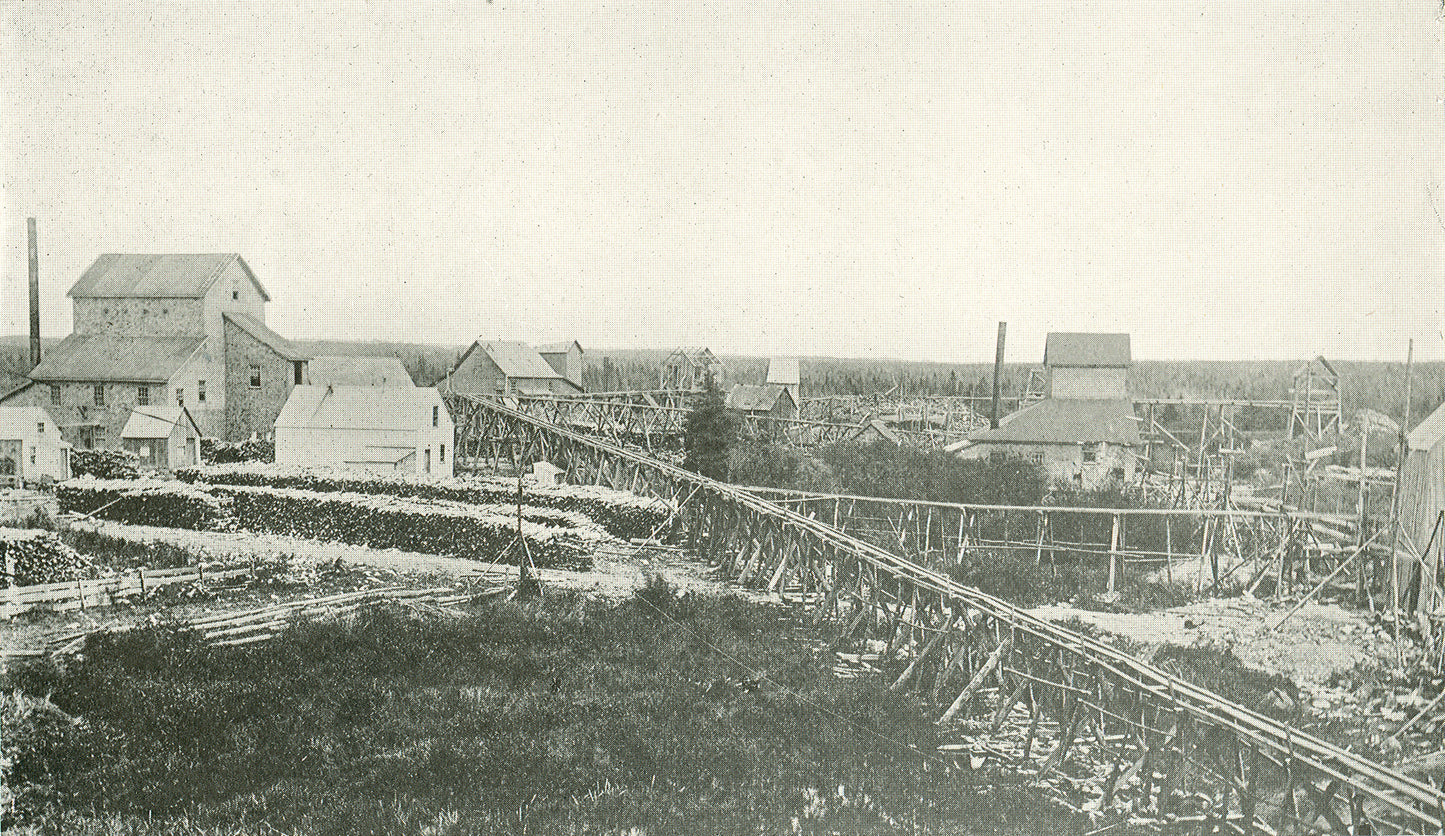 "Surface plant of the New Egerton Gold Mining Co., Fifteenmile stream"