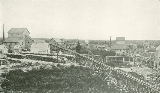 "Surface plant of the New Egerton Gold Mining Co., Fifteenmile stream"