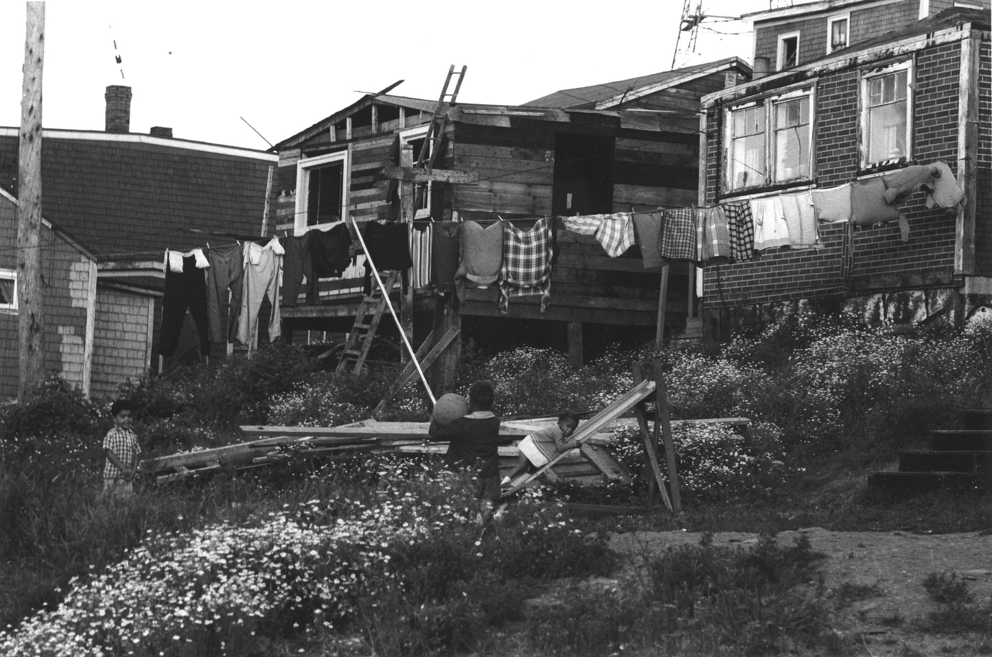 Three Africville houses