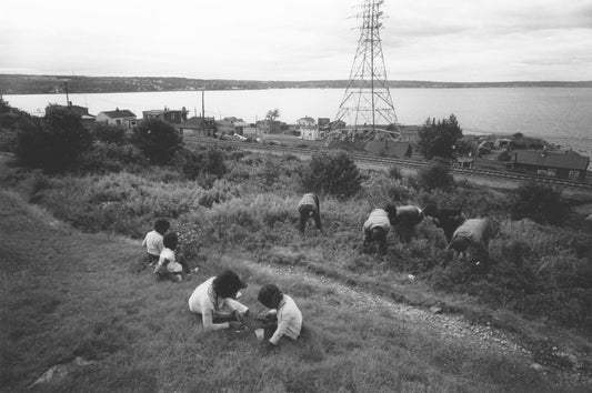 Young blueberry pickers, Africville, with railway tracks, houses and Bedford Basin in the background.