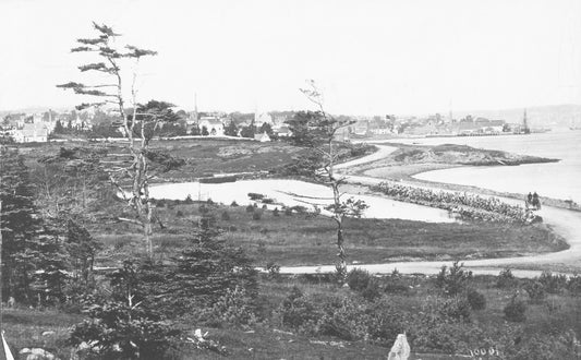 Steel's Pond and Greenbank, near Point Pleasant Park, with city of Halifax in distance