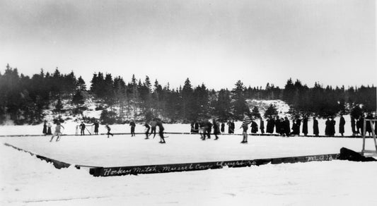 Hockey match