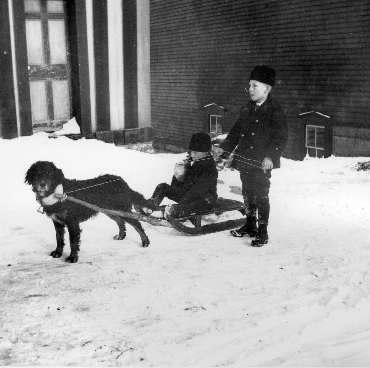 Two boys outdoors in winter; one is seated on a sled pulled by a dog