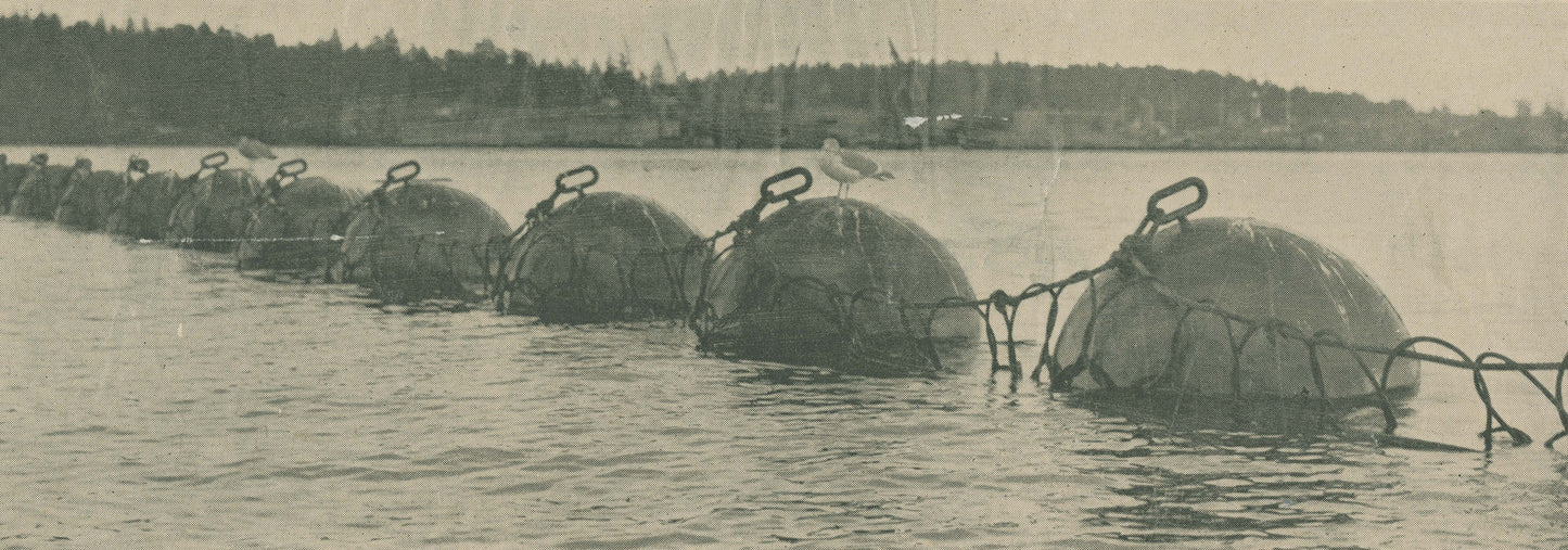 The 'boom' or anti-submarine net across Halifax Harbor