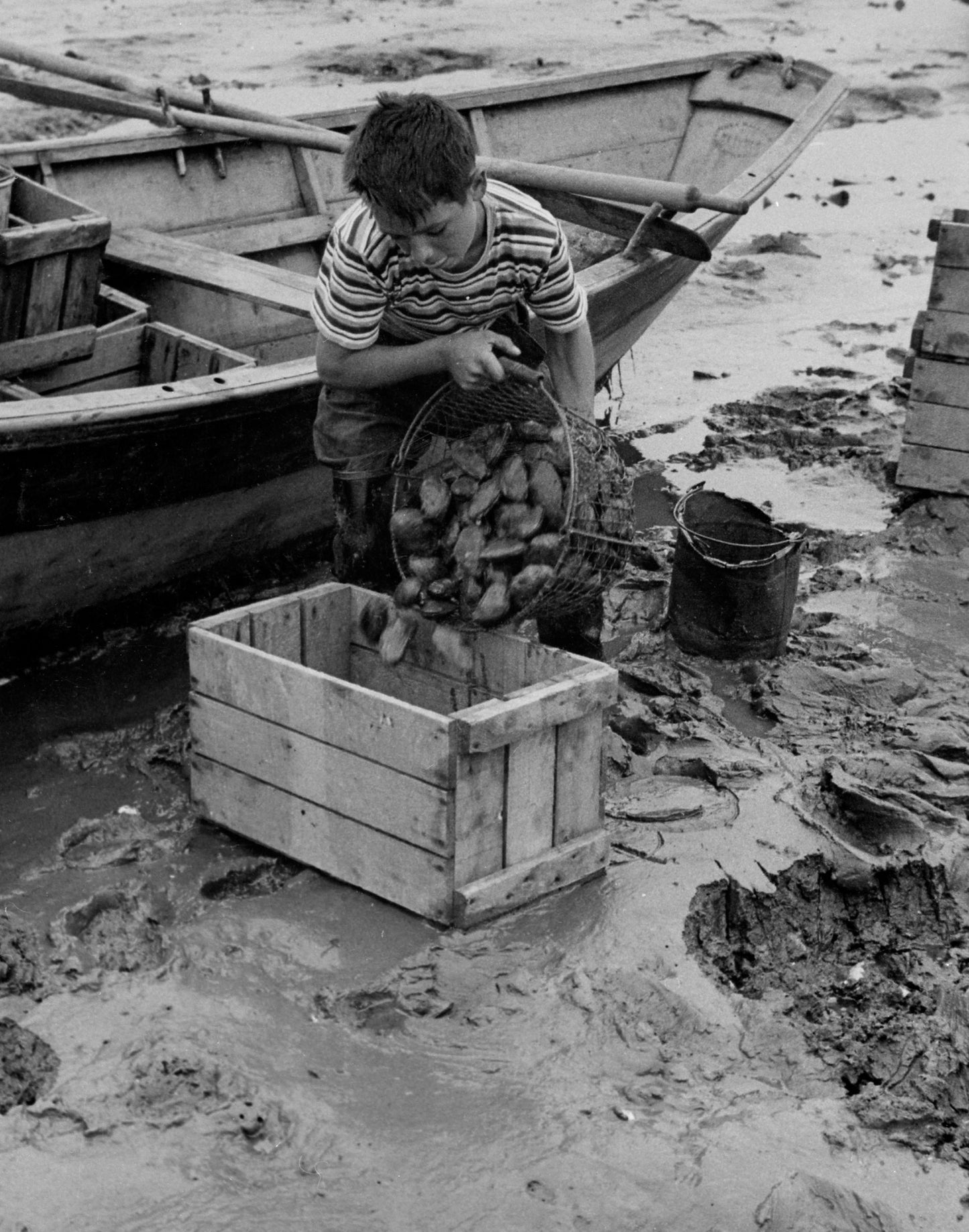 Harley J. Deveau Fills Bait Boxes with Clams