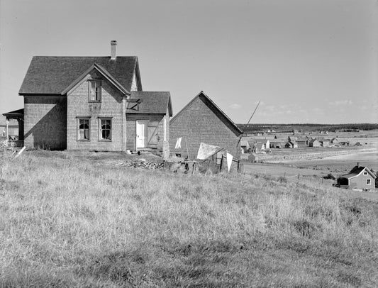 Cape St. Mary's