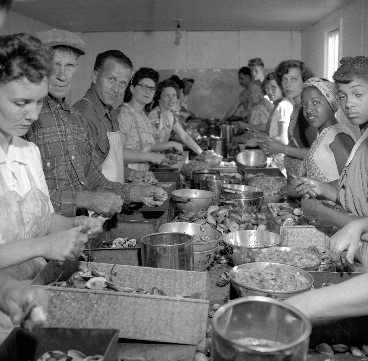 Clam Shucking