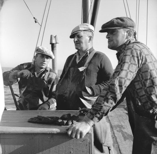 Scalloping off Digby in the Bay of Fundy