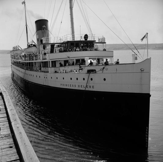 Arrival of the Princess Helene