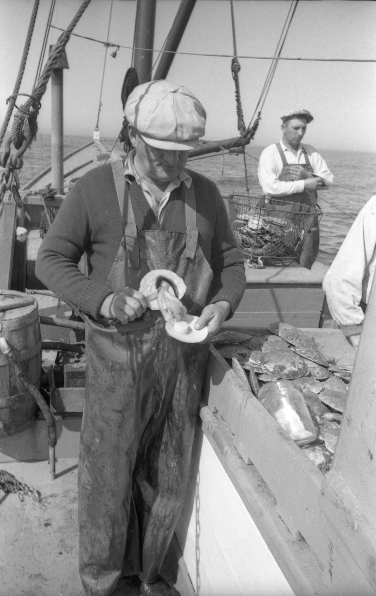 Scalloping on the dragger Bay Bird in the Bay of Fundy