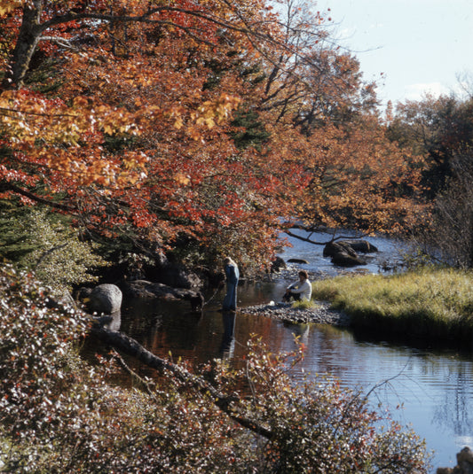 By the Stream