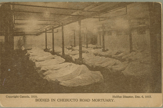 Bodies in Chebucto Road Mortuary