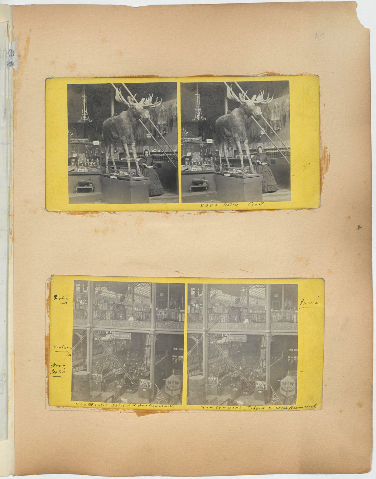 Stereoscopic Photographs